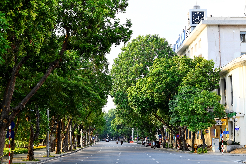 Phố Đinh Tiên Hoàng trong giờ tan tầm buổi chiều.